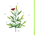 #03 - Pine Tree
