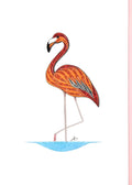 #229 - Flamingo