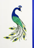 #237 - Peacock
