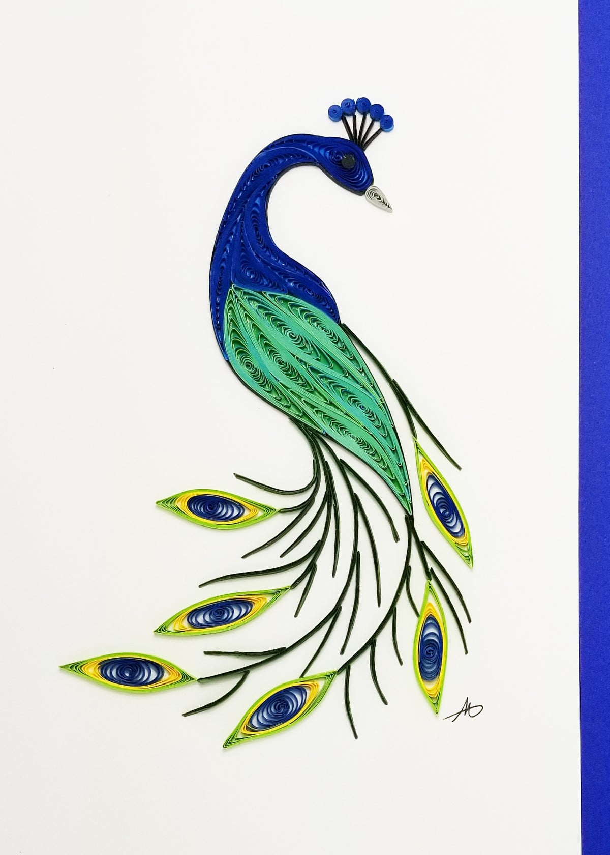 #237 - Peacock