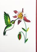#238 - Male Hummingbird