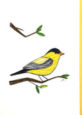 #240 - American Goldfinch