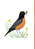 #244 - Robin