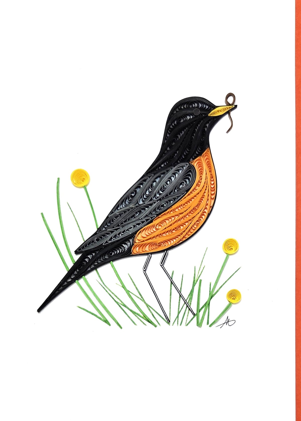 #244 - Robin