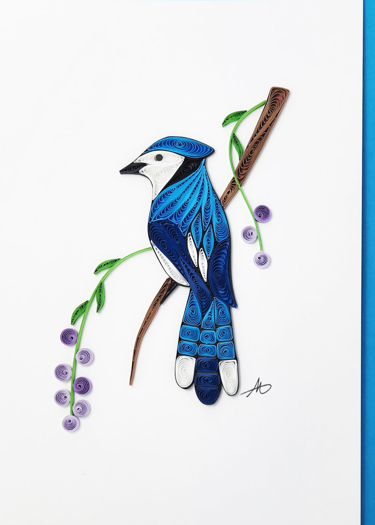 #246 - Blue Jay