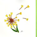#24 Y - Yellow Dandelion