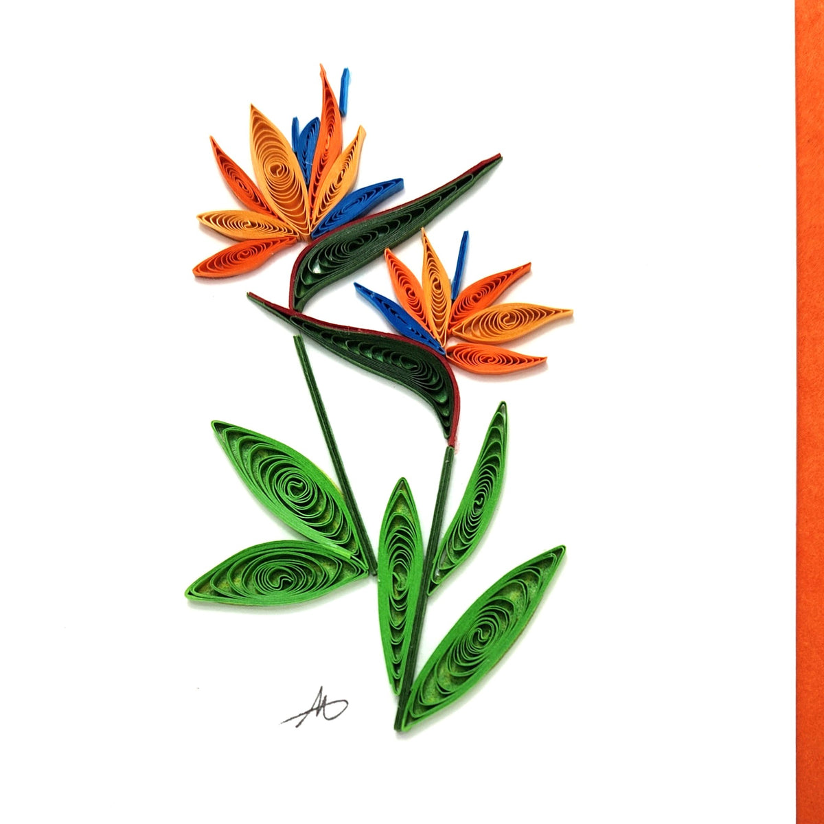 #25 - Bird of Paradise