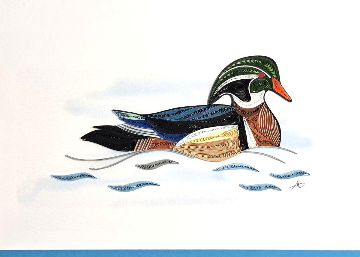 #273 - Wood Duck on Water