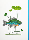 #274 - Bluegill Fish