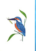 #290 - Kingfisher