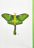 #292 - Moth