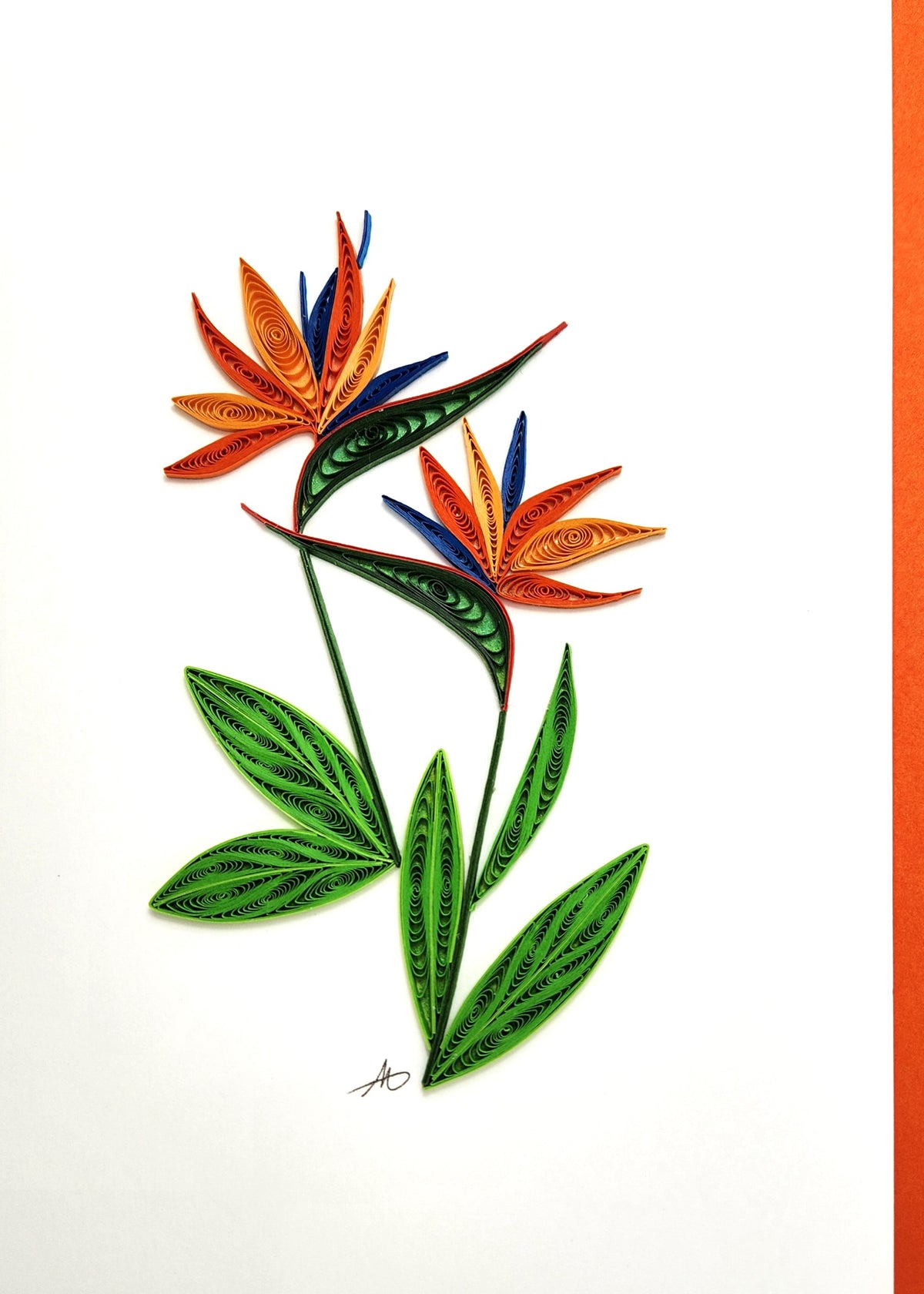 #316 - Bird of Paradise