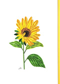 #318 - Sunflower