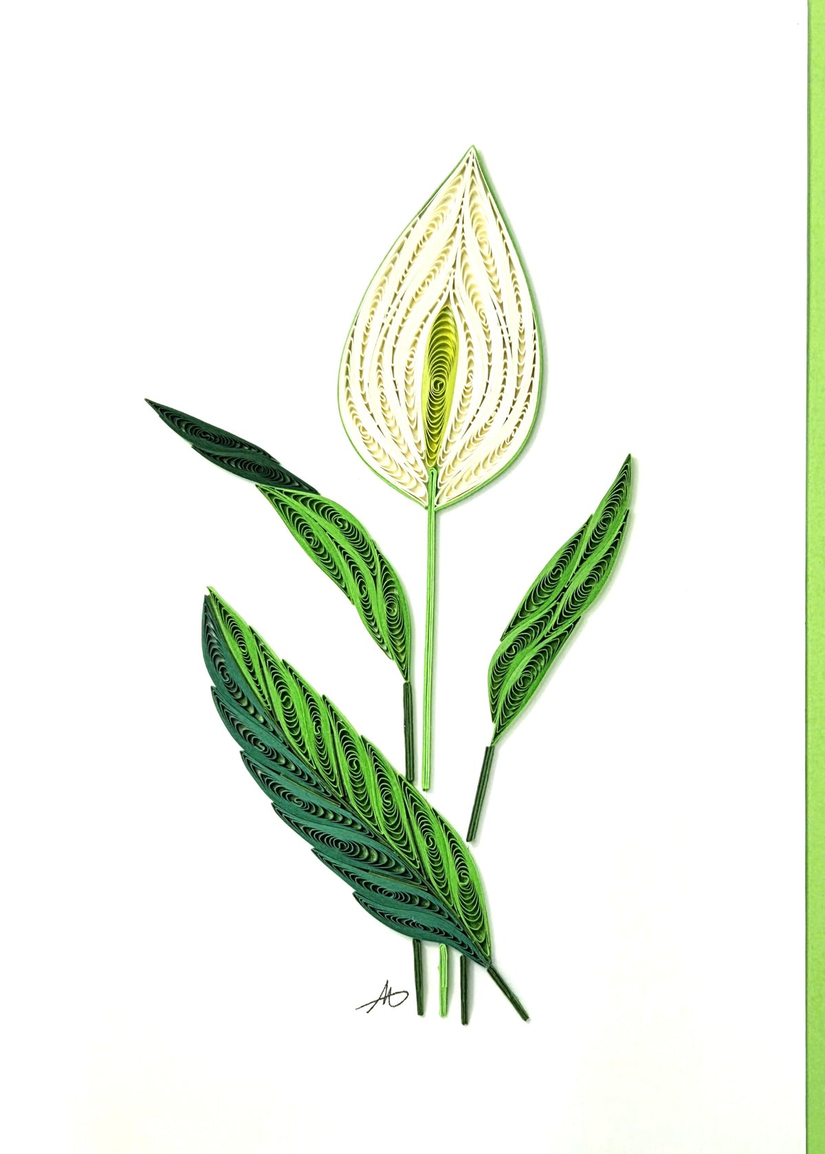 #319 F - Peace Lily