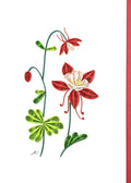 #321 R - Red Columbine Flower