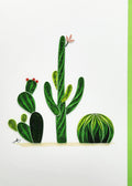 #322 - Cactus