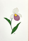 #326 - Minnesota Lady Slipper