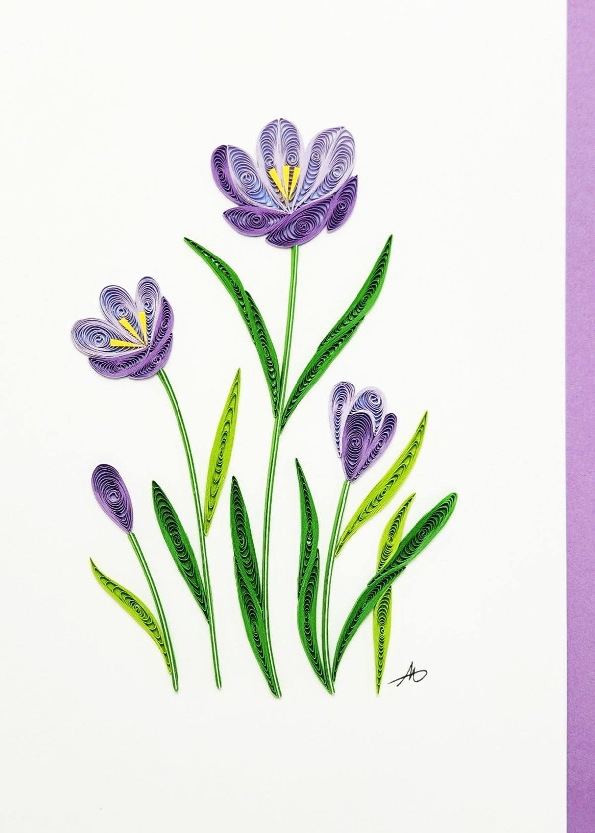 #328 - Purple Crocus