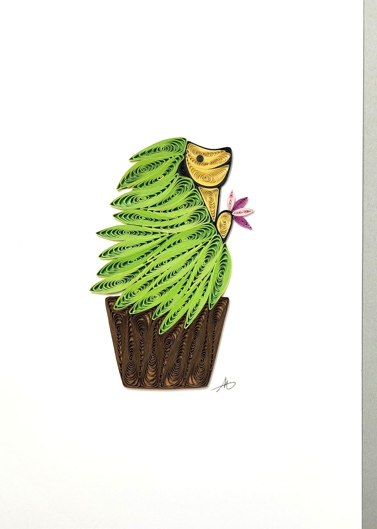 #338 - Hedgehog Plant