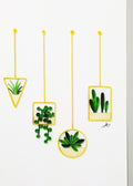 #339 - Hanging Succulents