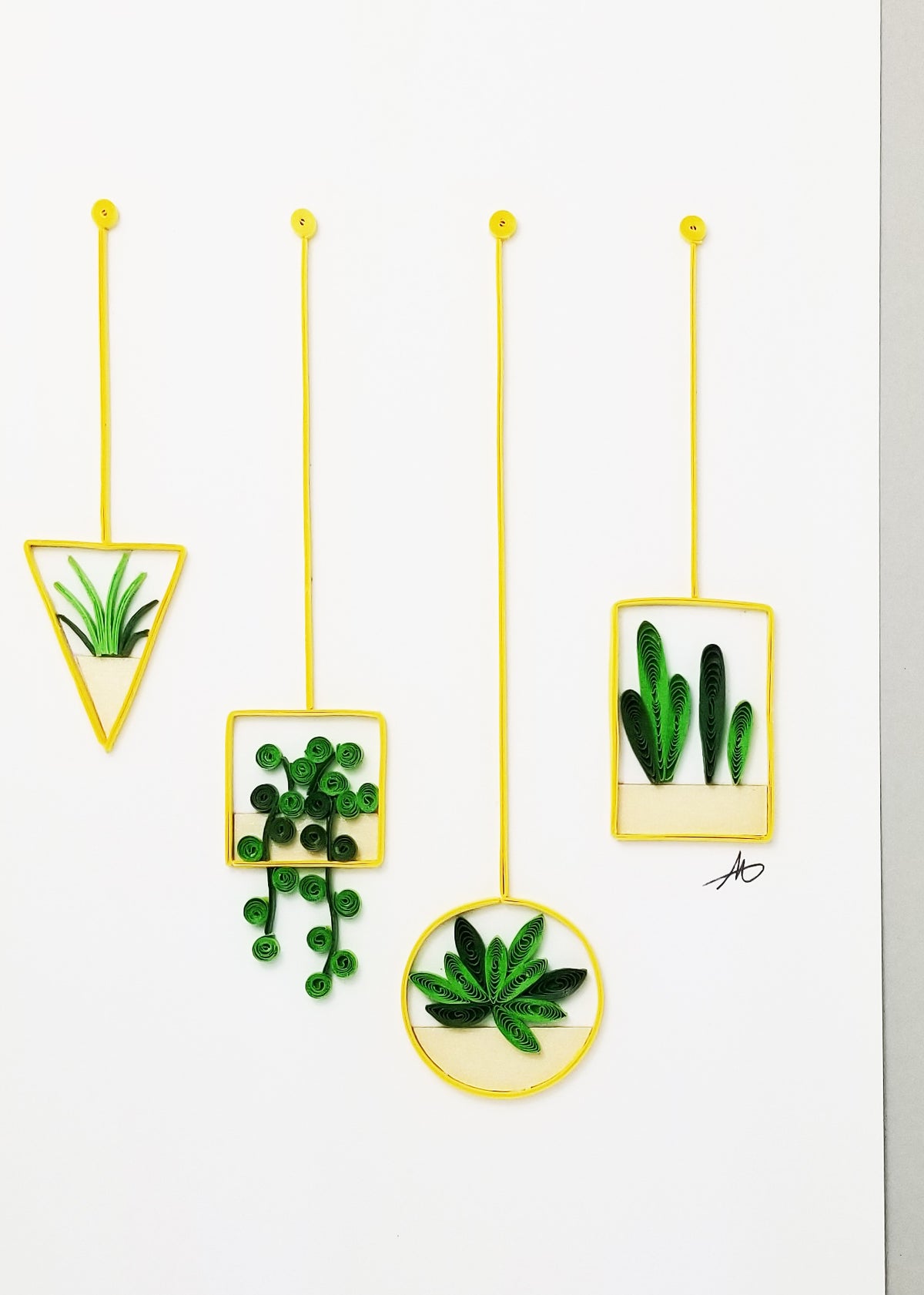 #339 - Hanging Succulents
