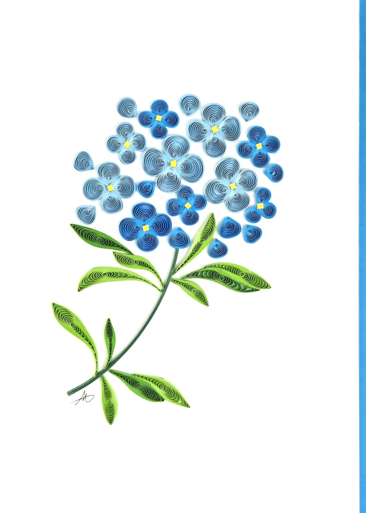#344 - Blue Hydrangea