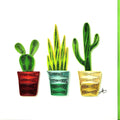 #55 - House Plants