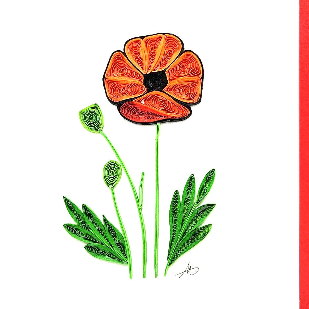 #62 - Poppy Flower