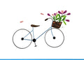 #705 - Bicycle