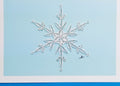 #804 - Snowflake