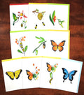Pollinator Bundle 10